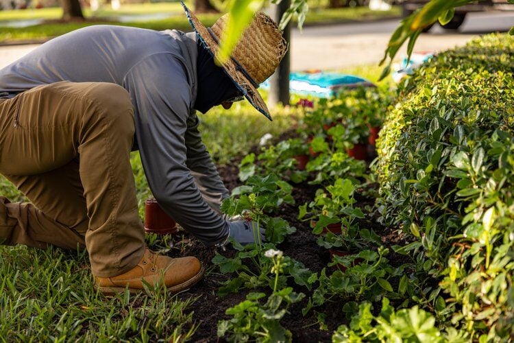 Specialty Gardening Programs