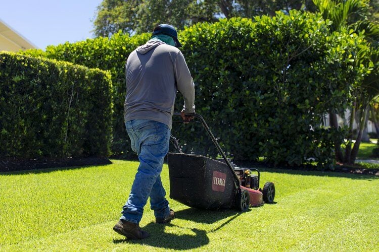 Tailored Landscape Maintenance